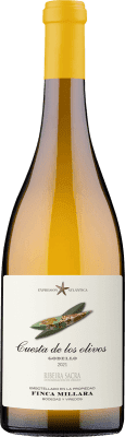 Vino Cuesta de los Olivos Godello