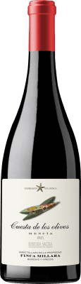 Vino Cuesta de los Olivos tinto Finca Míllara