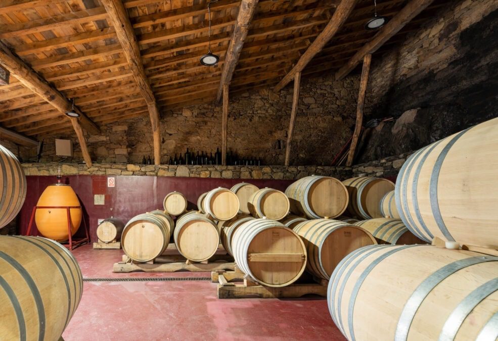 Bodega Finca Míllara