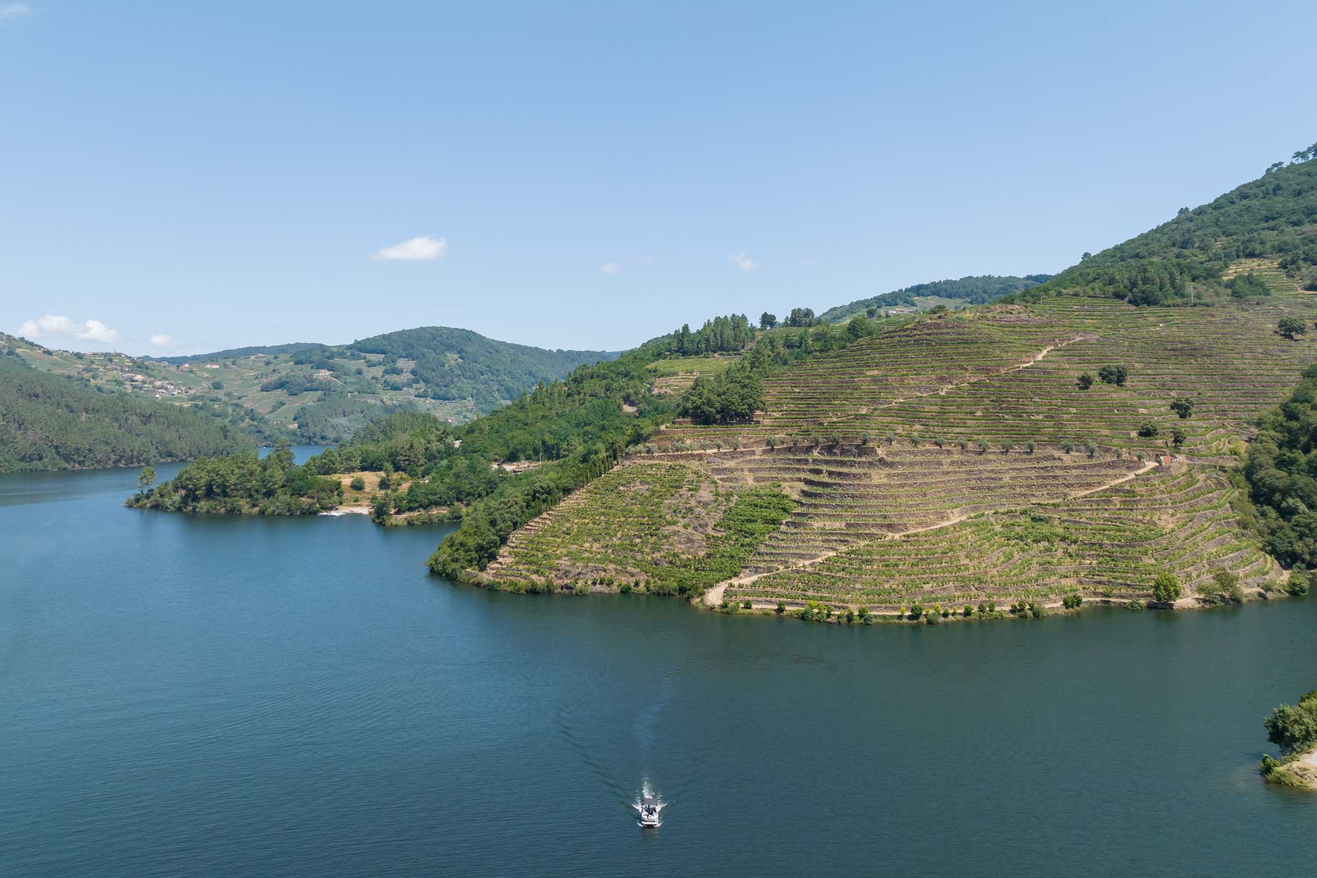 Ribeira Sacra - Finca Míllara