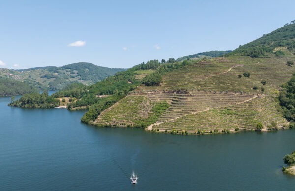Enoturismo Ribeira Sacra - Finca Millara